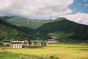Traditional style houses in the valley