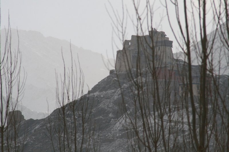 Namgyal Tsemo goemba in the distant mist