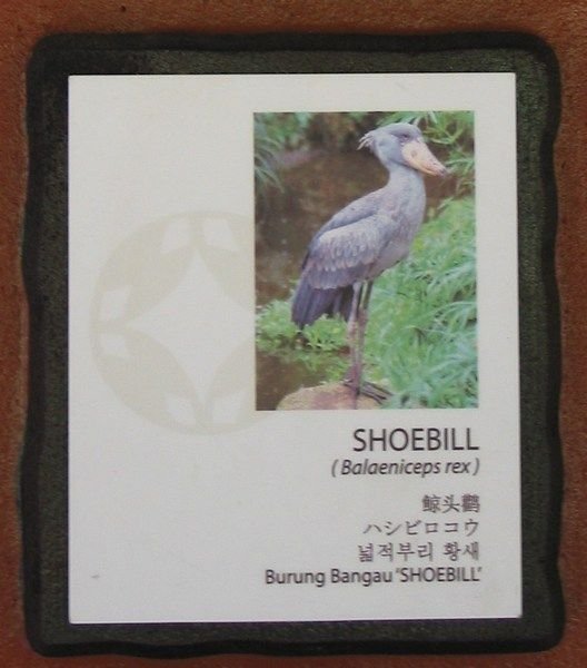Shoebill Sign