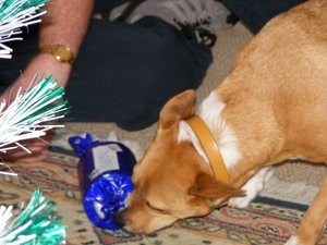 Turbo (attempting to) open his present