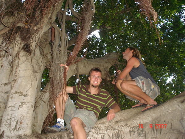 Climbing on a tree