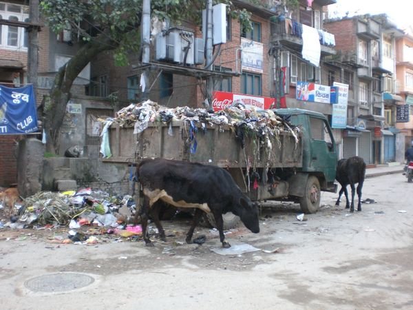 vuilnis in siliguri, India