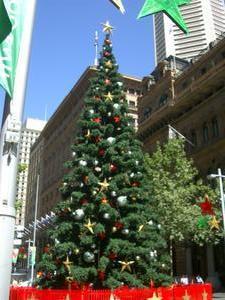 Christmas tree in Martin's place
