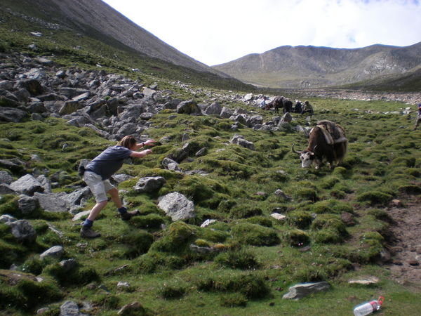 How about the power, to kill a yak, from 200 yards away, with MIND BULLETS!