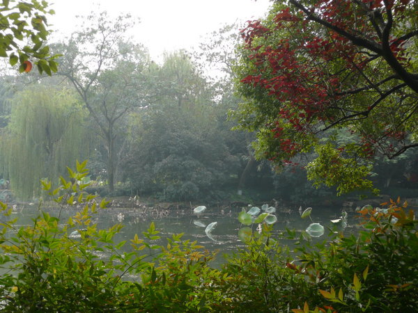 Lotus lakes, Hanzhou