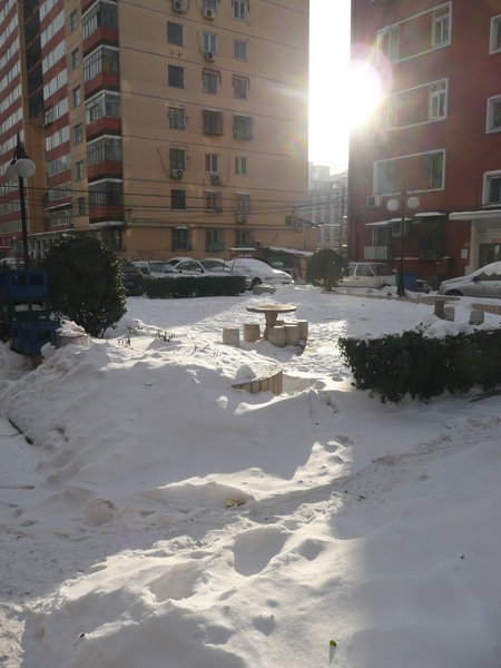 Sunlight falls on snow covered ground
