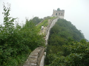 Overgrown section of the great wall