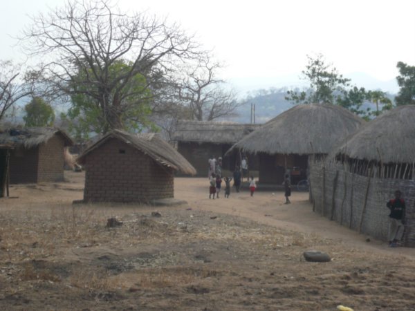 typical houses in the suburbs of zomba