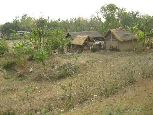 Typical Assamese village house