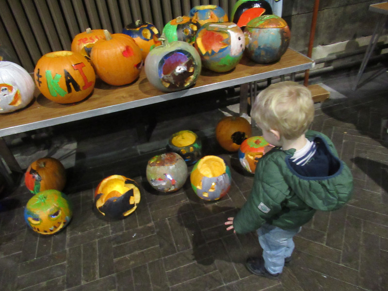 jack has a look at all the decorated pumpkins