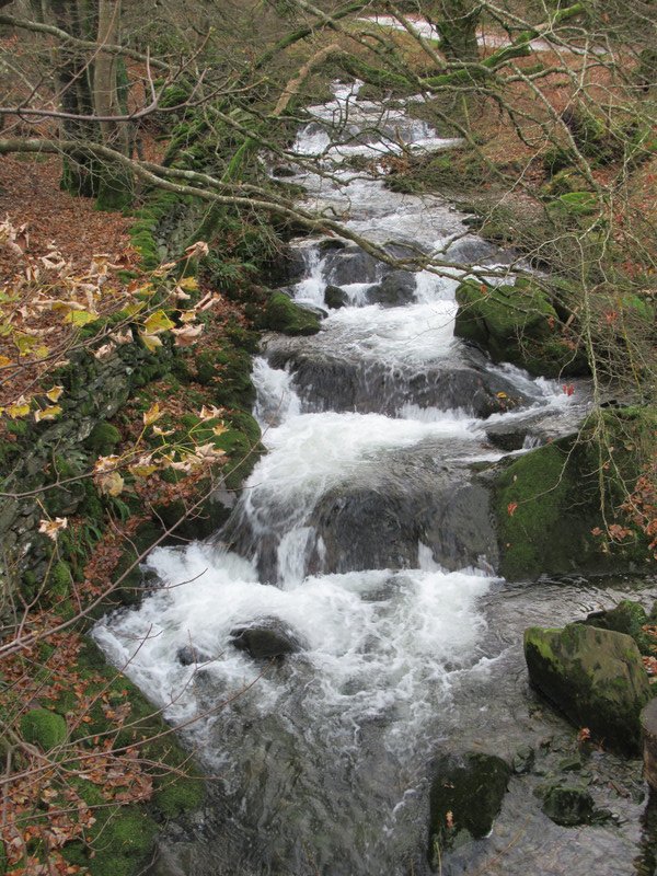 a stream nearby