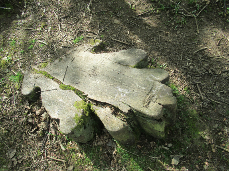 an oak leaf step