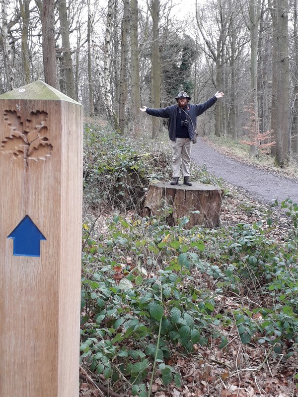 follow the blue arrows for the woodland walk