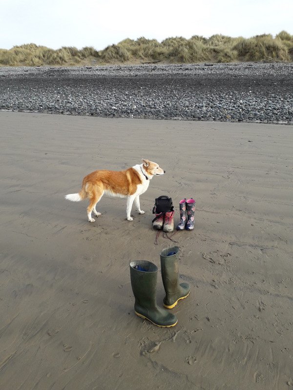 Bella bravely guarded the boots