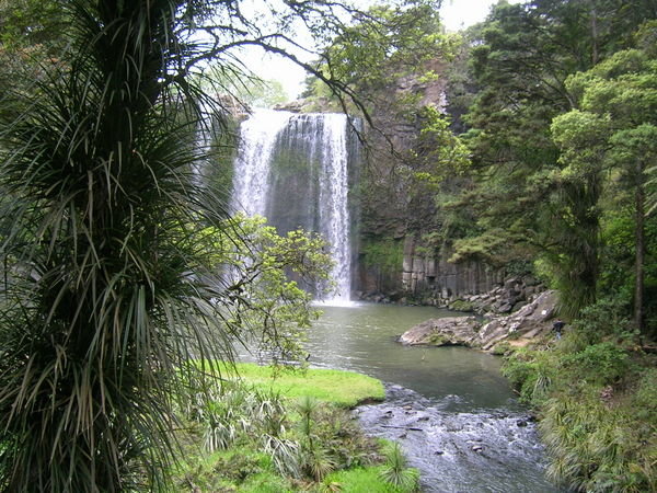whangarei falls