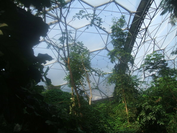 the Eden Project