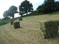 and more bales