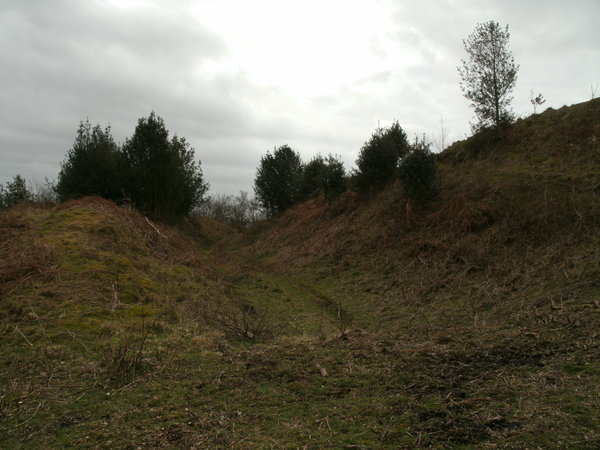 Bury ditches now
