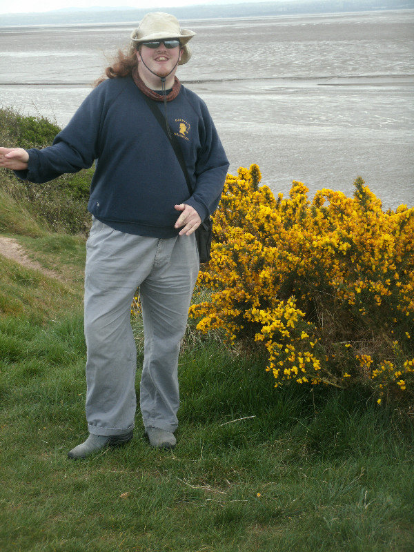 gorse on the cliff top