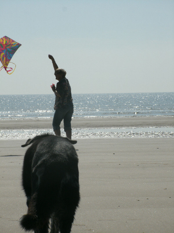 Maisie advises on kite flying