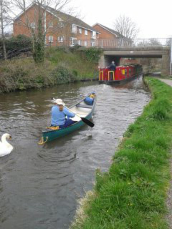 between the swans and a narrow boat