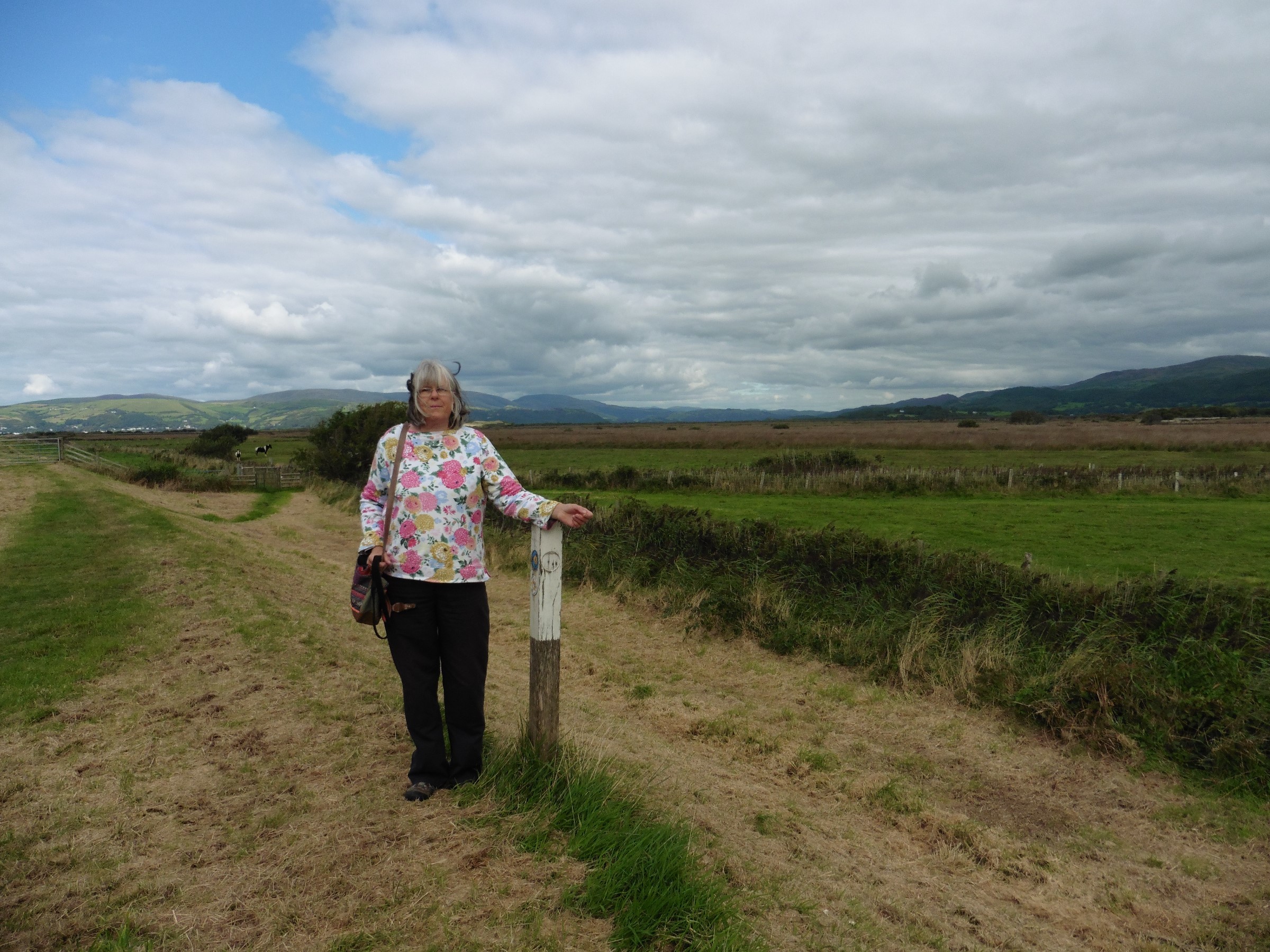 on-the-salt-marsh-photo