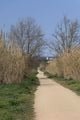 Cycle path to Llagostera
