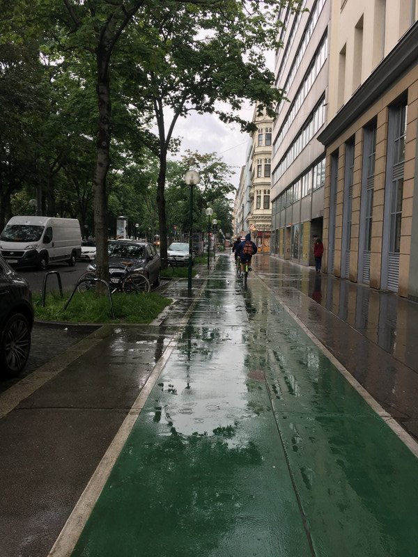 A wet Vienna