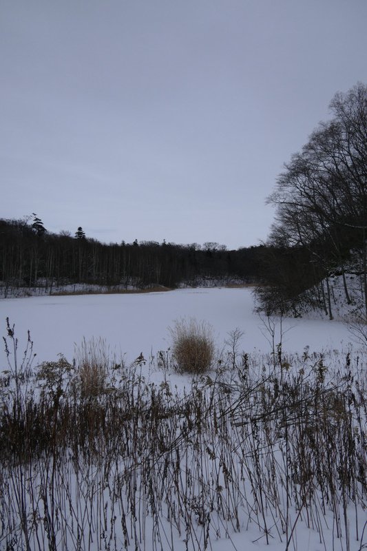 Nopporo frozen lake