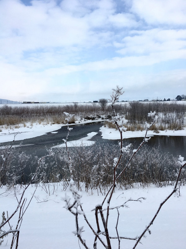Furano river side snow shoeing/ walking
