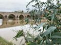 Roman bridge, Merida