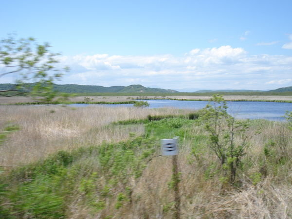 Kushiro marshlands