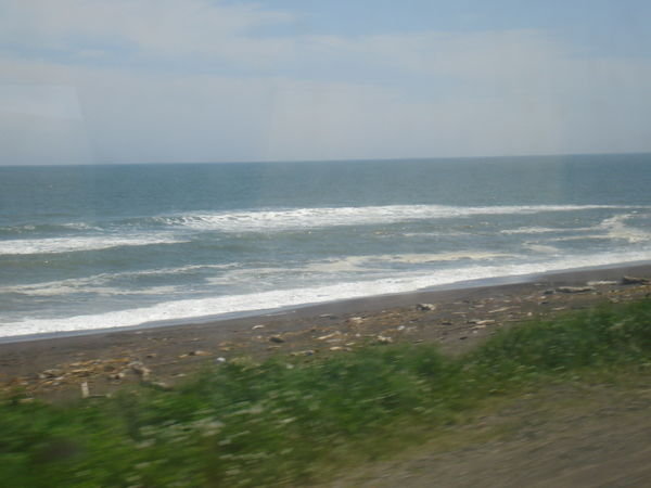 the rolling surf of the Pacific ocean!