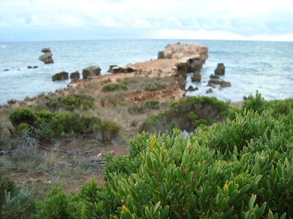 Cape Buffon petrified tree stumps and rock formations, Southend