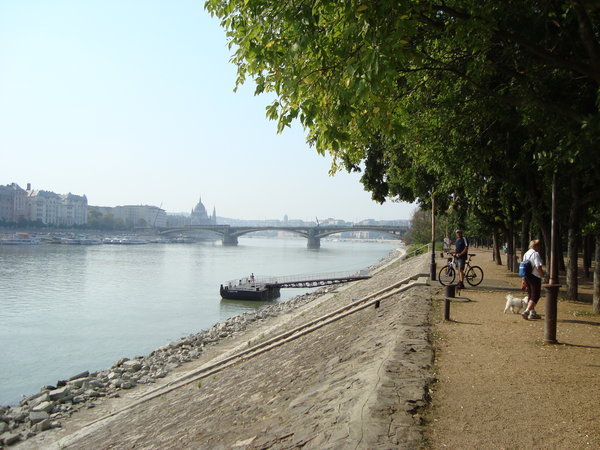 Margaret island, midway between Buda and Pest 