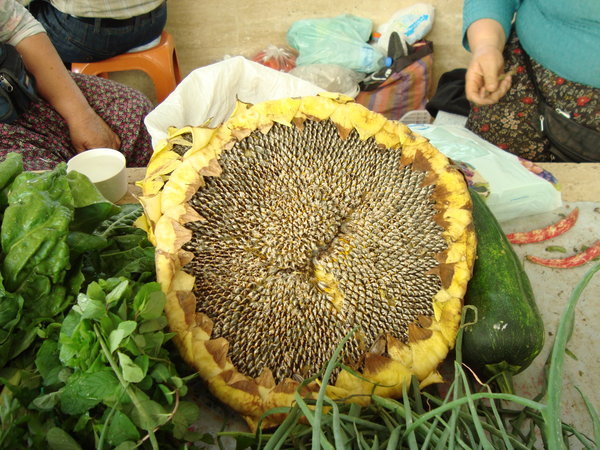 sunflower seeds at the Fethıye Tuesday Market