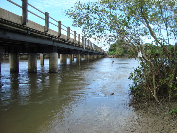 Ross river, Townsville, after moderate rain