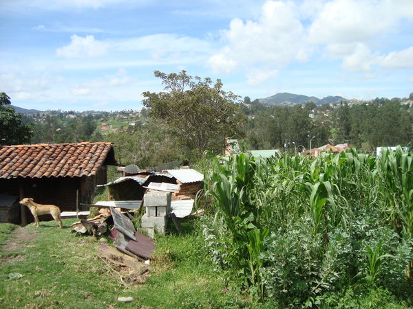 Rural Cuenca