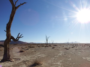 Namib desert near our secret dune