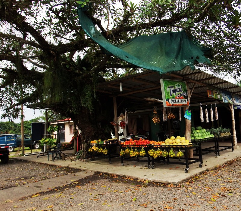 Fruit stalls from San Jose to Arenal