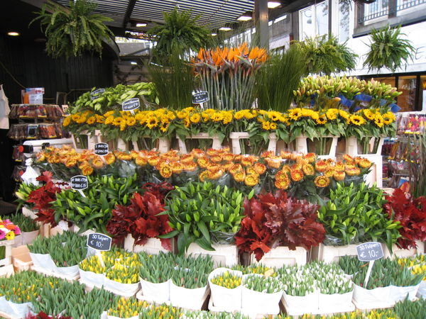 Tulip/flower market
