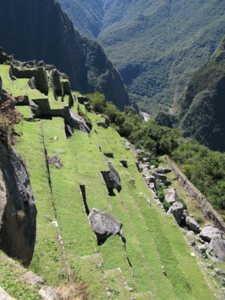 Machu Picchu 258