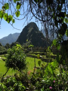Machu Picchu 278
