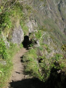 Machu Picchu 010