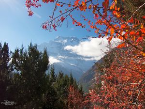 View towards Annapurna II&IV