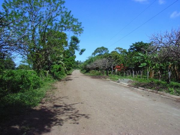 Island road