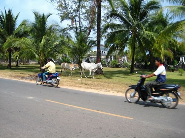 Sihanoukville traffic