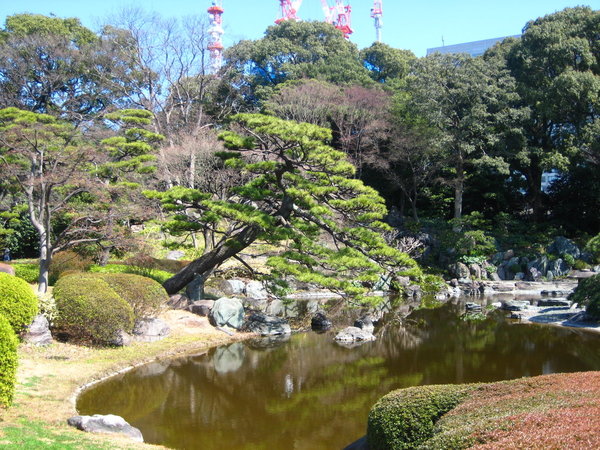 more Imperial Palace Gardens