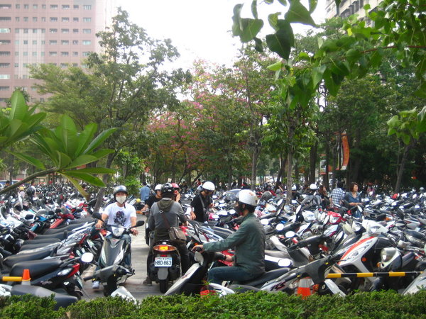 Many many scooters