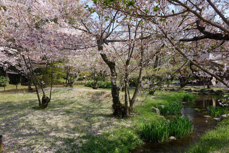 Shosei-en Garden, Kyoto